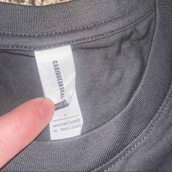 Gray and White Short Sleeve Tee with Spider Graphic NWOT - Picture 2 of 2